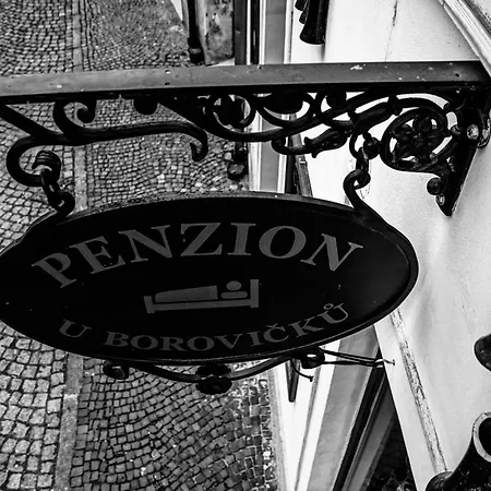 Pensionat U Borovicku