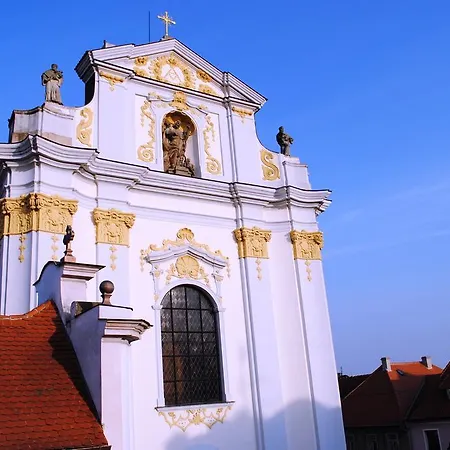 U Borovicku Pensionat 3*