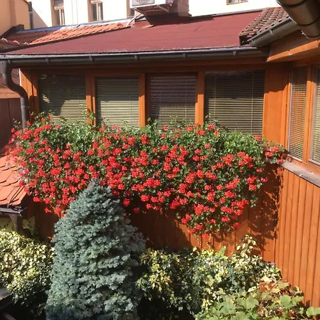 Pensionat U Borovicku