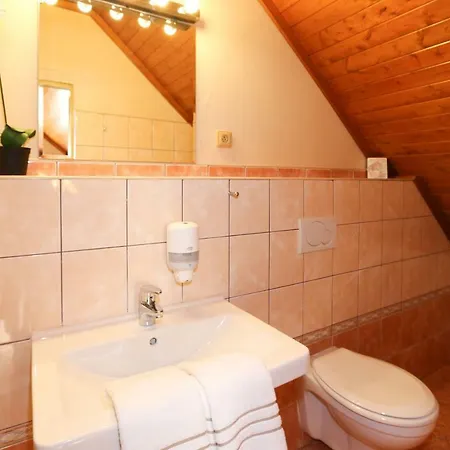 U Borovicku Pensionat 3*